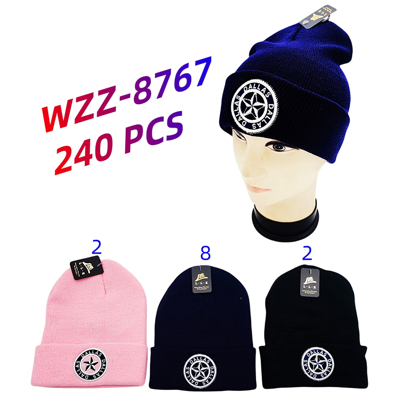 WZZ-8767 CS240